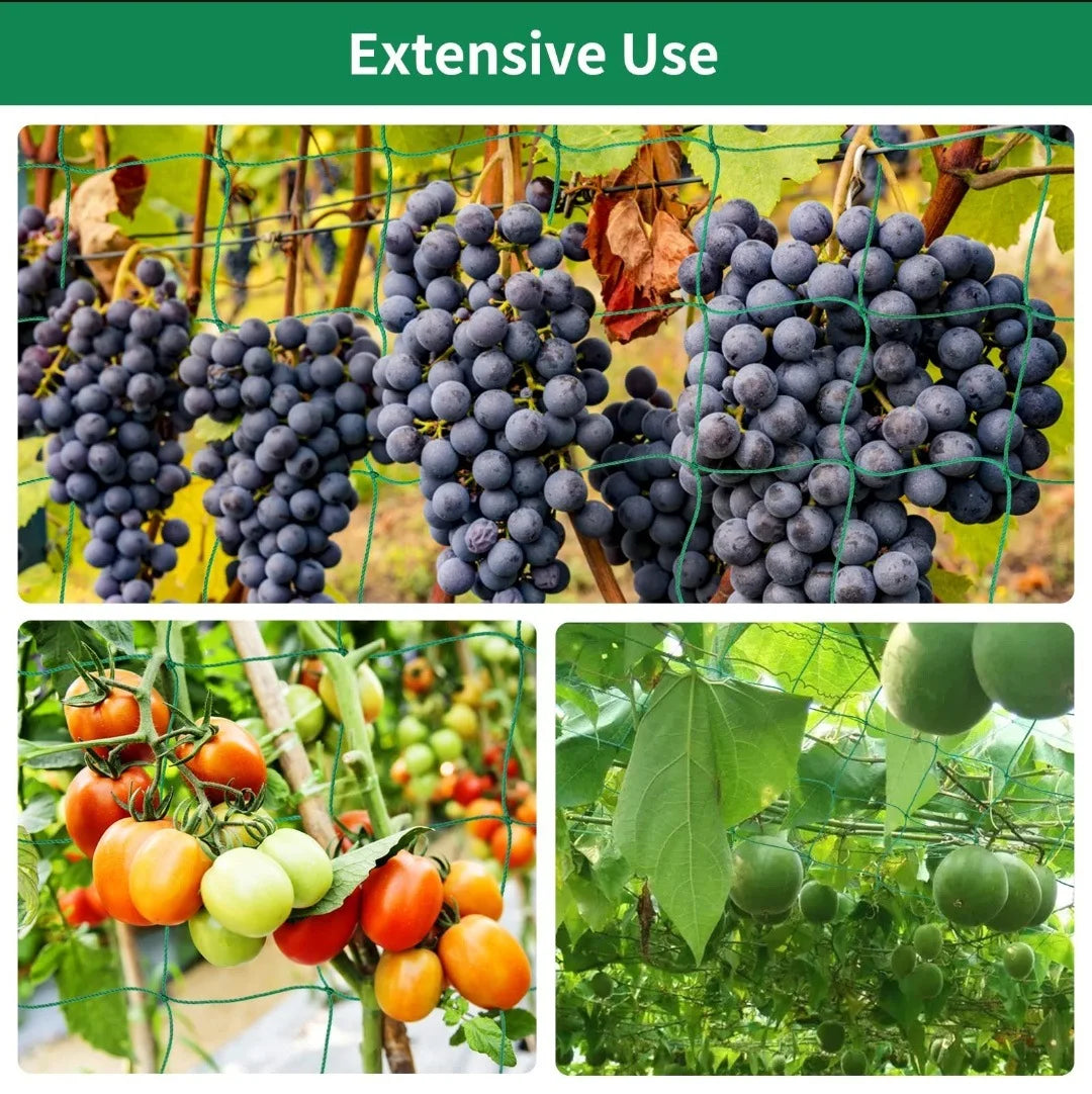 Heavy-Duty Garden Trellis Netting – Polyester Grow Net for Climbing Plants & Vegetables
