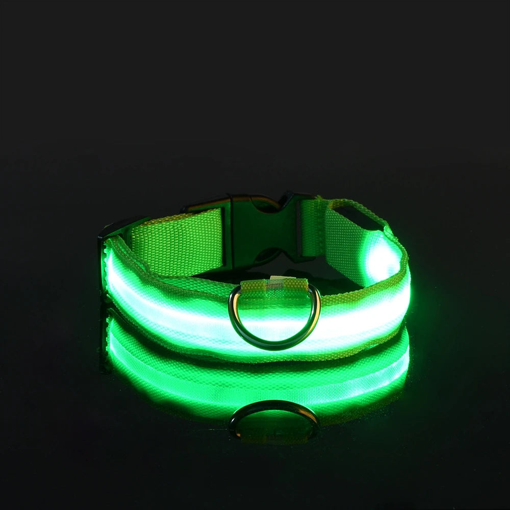 LED Glow-in-the-Dark Dog Leash & Collar – Nylon Safety Flashing Pet Leash