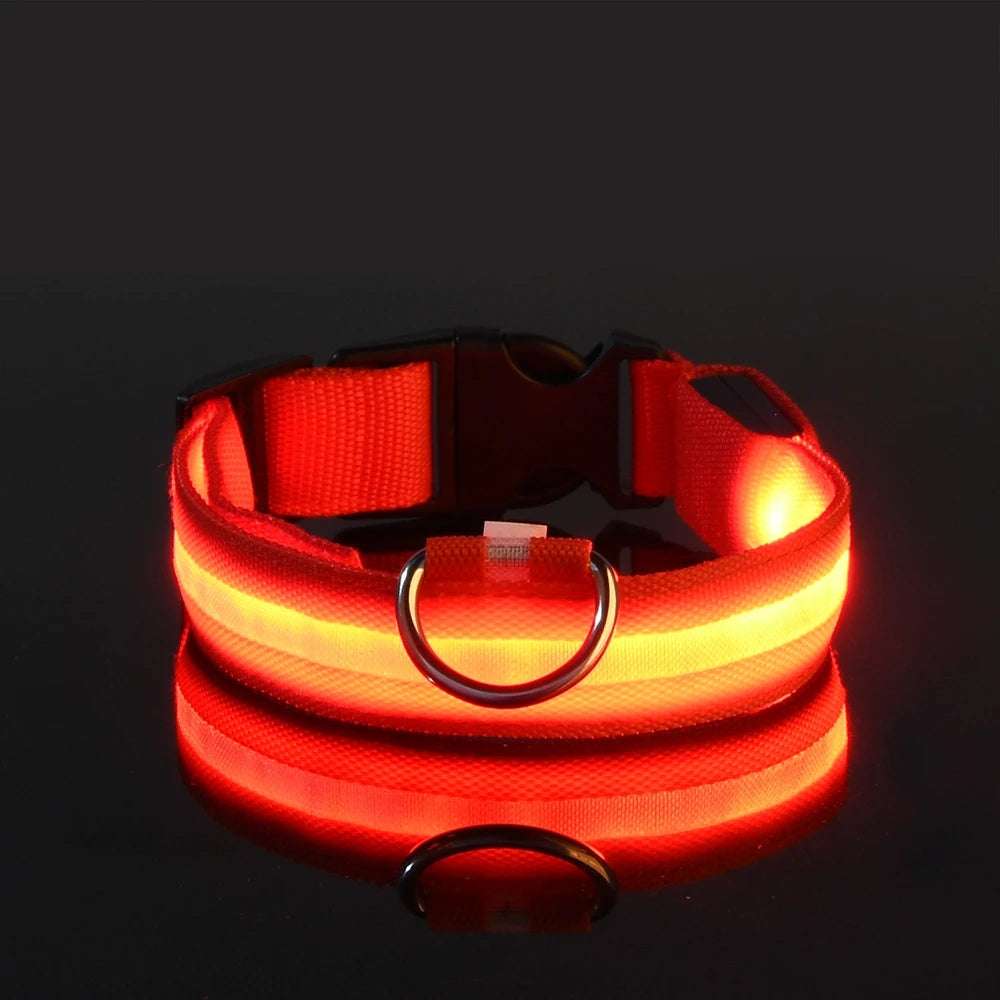 LED Glow-in-the-Dark Dog Leash & Collar – Nylon Safety Flashing Pet Leash