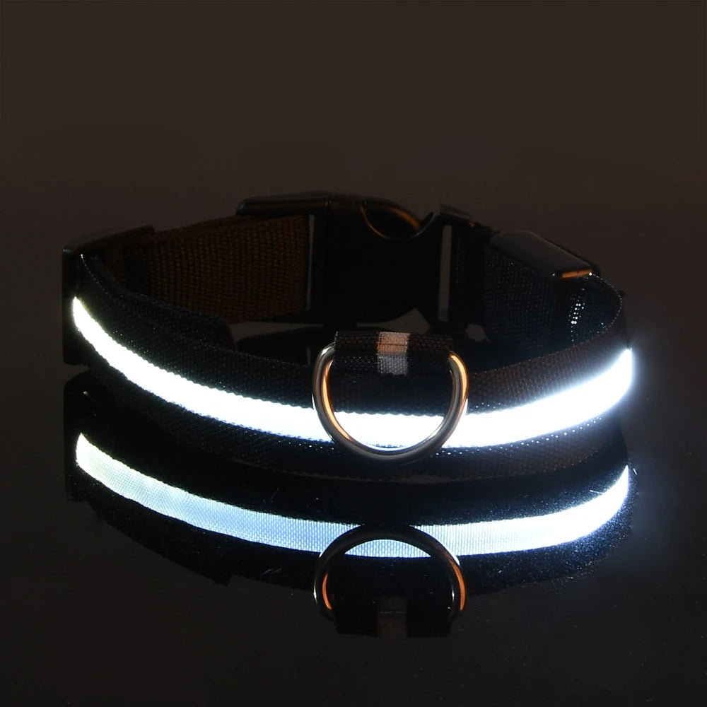 LED Glow-in-the-Dark Dog Leash & Collar – Nylon Safety Flashing Pet Leash