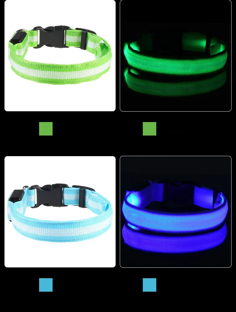 LED Glow-in-the-Dark Dog Leash & Collar – Nylon Safety Flashing Pet Leash