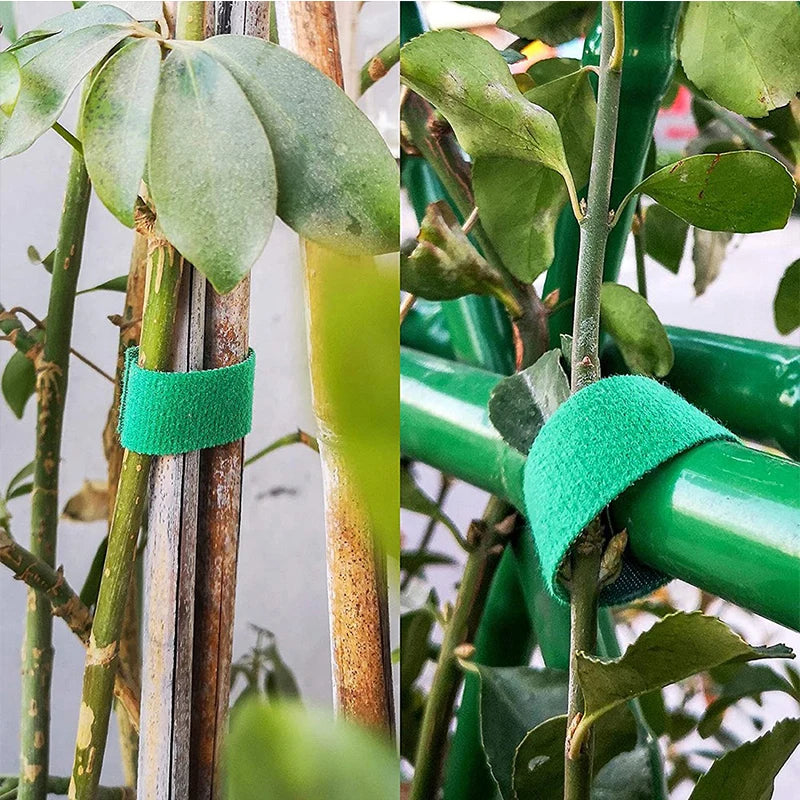Garden Twine Plant Ties – 3 Rolls Nylon Support Wrap (Multi-Color)
