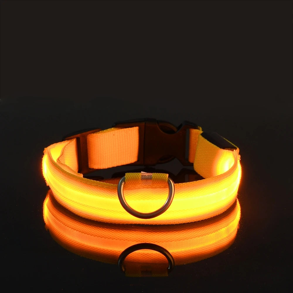 LED Glow-in-the-Dark Dog Leash & Collar – Nylon Safety Flashing Pet Leash