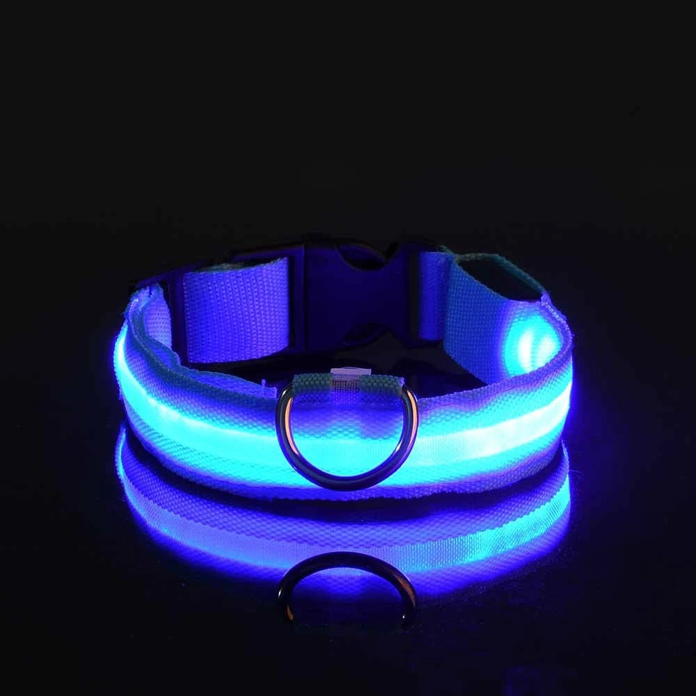 LED Glow-in-the-Dark Dog Leash & Collar – Nylon Safety Flashing Pet Leash