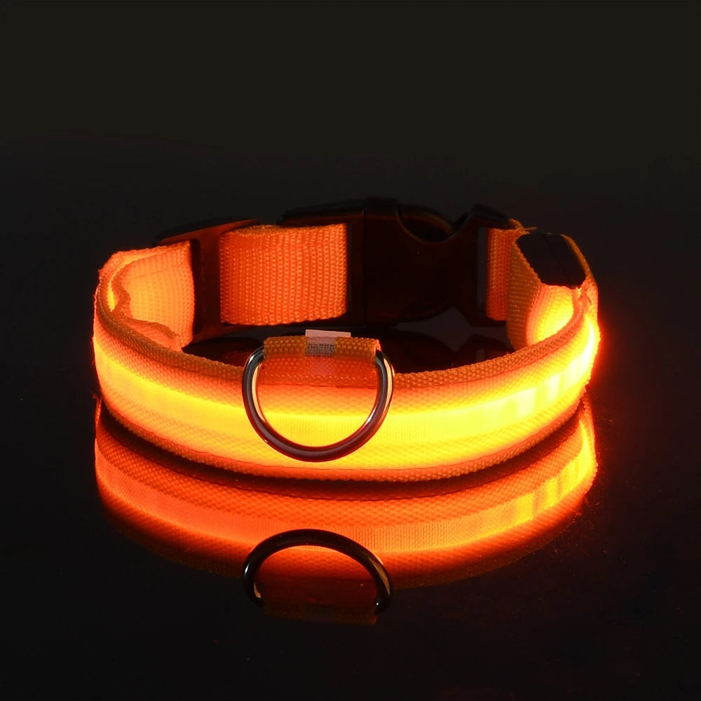 LED Glow-in-the-Dark Dog Leash & Collar – Nylon Safety Flashing Pet Leash