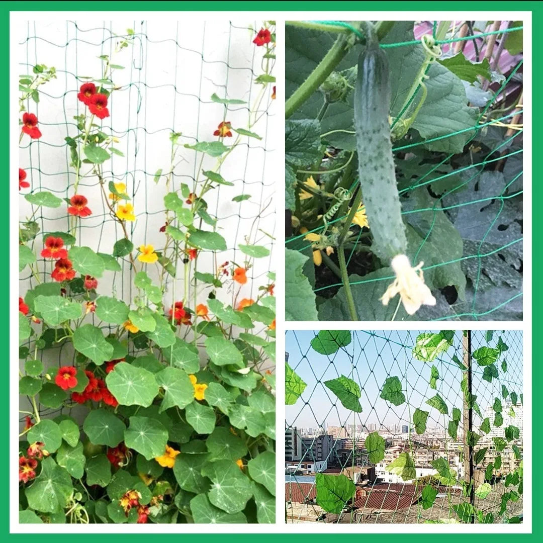 Heavy-Duty Garden Trellis Netting – Polyester Grow Net for Climbing Plants & Vegetables