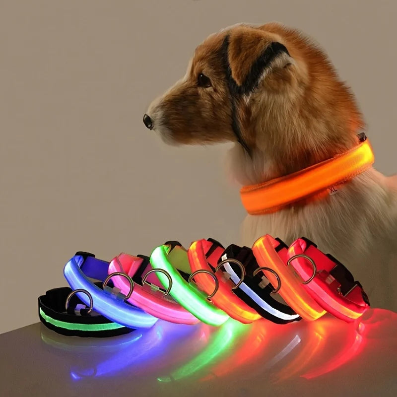 LED Glow-in-the-Dark Dog Leash & Collar – Nylon Safety Flashing Pet Leash