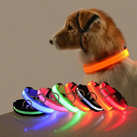 LED Glow-in-the-Dark Dog Leash & Collar – Nylon Safety Flashing Pet Leash