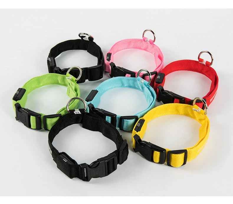 LED Glow-in-the-Dark Dog Leash & Collar – Nylon Safety Flashing Pet Leash