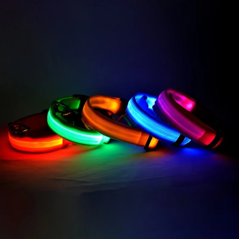 LED Glow-in-the-Dark Dog Leash & Collar – Nylon Safety Flashing Pet Leash
