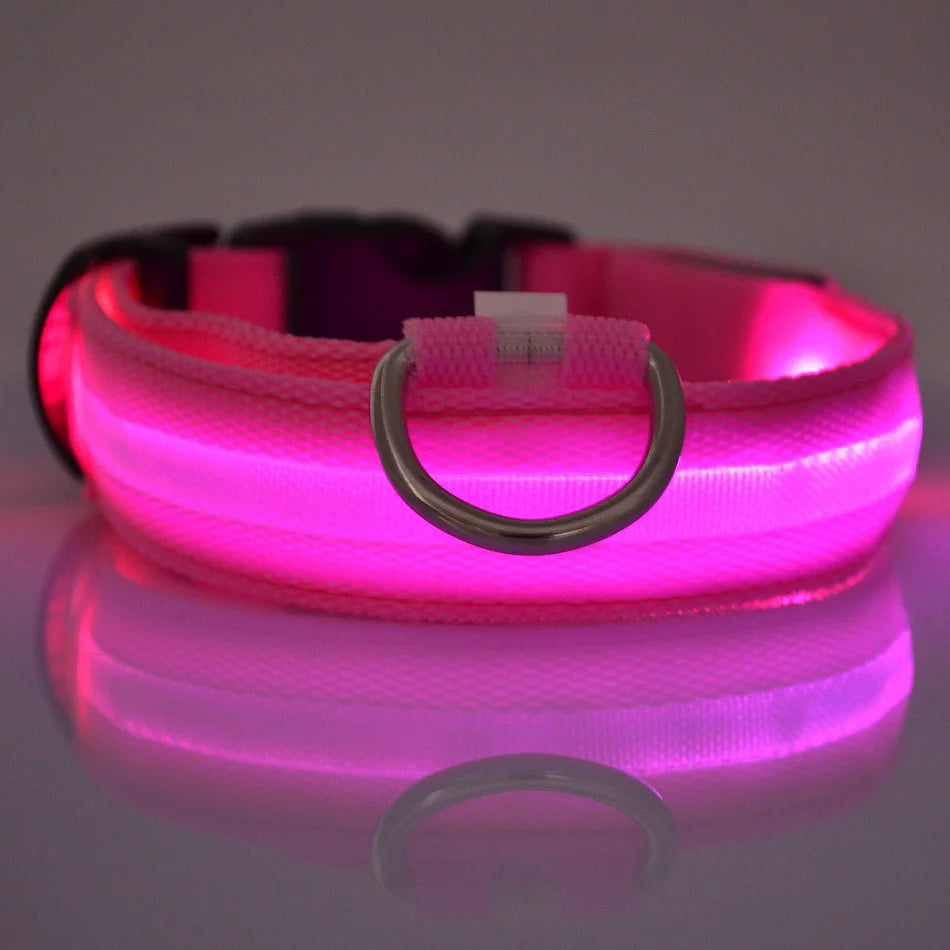 LED Glow-in-the-Dark Dog Leash & Collar – Nylon Safety Flashing Pet Leash