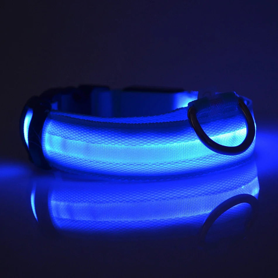 LED Glow-in-the-Dark Dog Leash & Collar – Nylon Safety Flashing Pet Leash