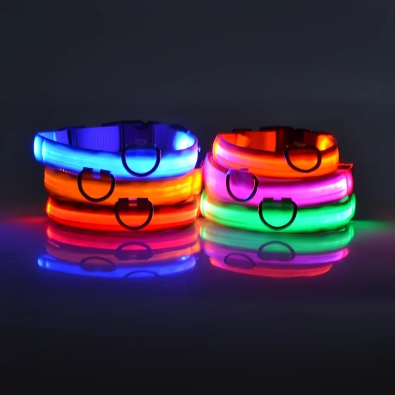 LED Glow-in-the-Dark Dog Leash & Collar – Nylon Safety Flashing Pet Leash