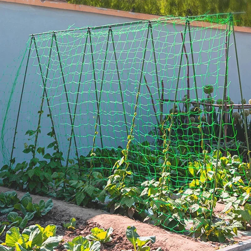 Heavy-Duty Garden Trellis Netting – Polyester Grow Net for Climbing Plants & Vegetables