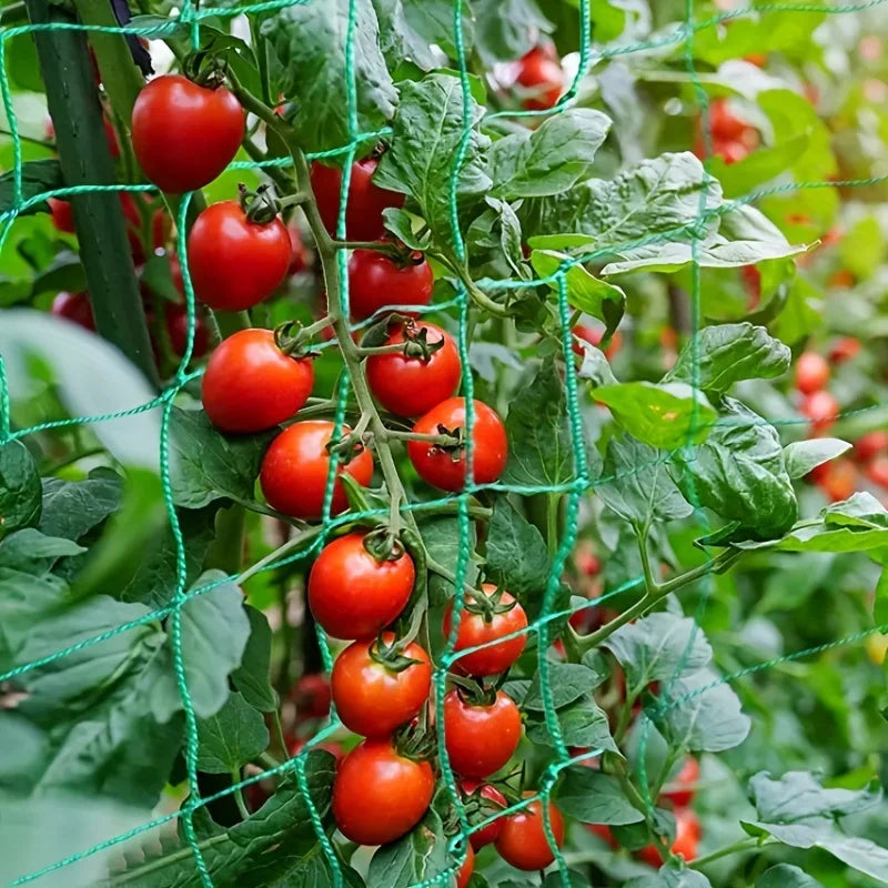 Heavy-Duty Garden Trellis Netting – Polyester Grow Net for Climbing Plants & Vegetables