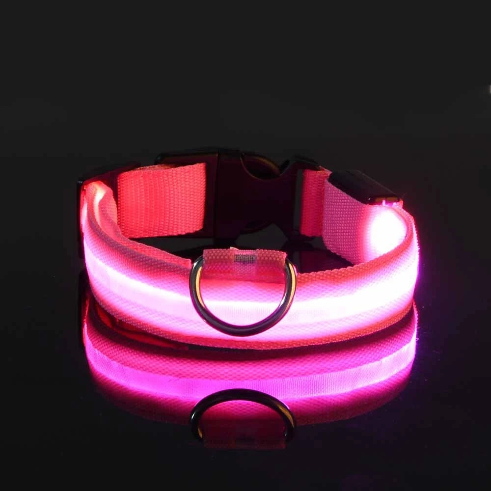 LED Glow-in-the-Dark Dog Leash & Collar – Nylon Safety Flashing Pet Leash