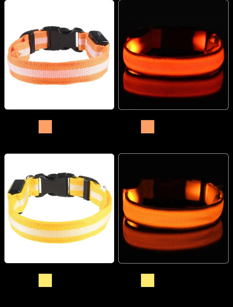 LED Glow-in-the-Dark Dog Leash & Collar – Nylon Safety Flashing Pet Leash