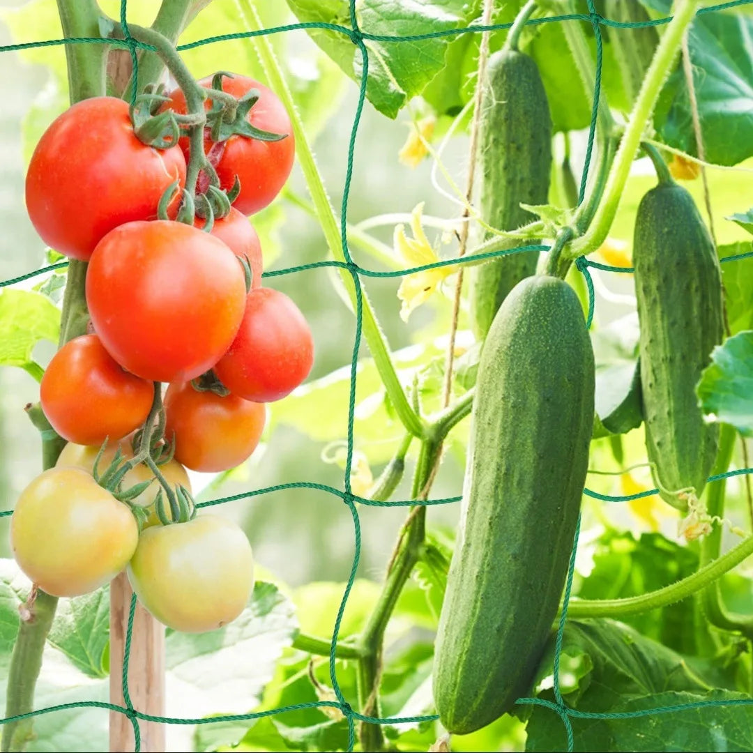 Heavy-Duty Garden Trellis Netting – Polyester Grow Net for Climbing Plants & Vegetables