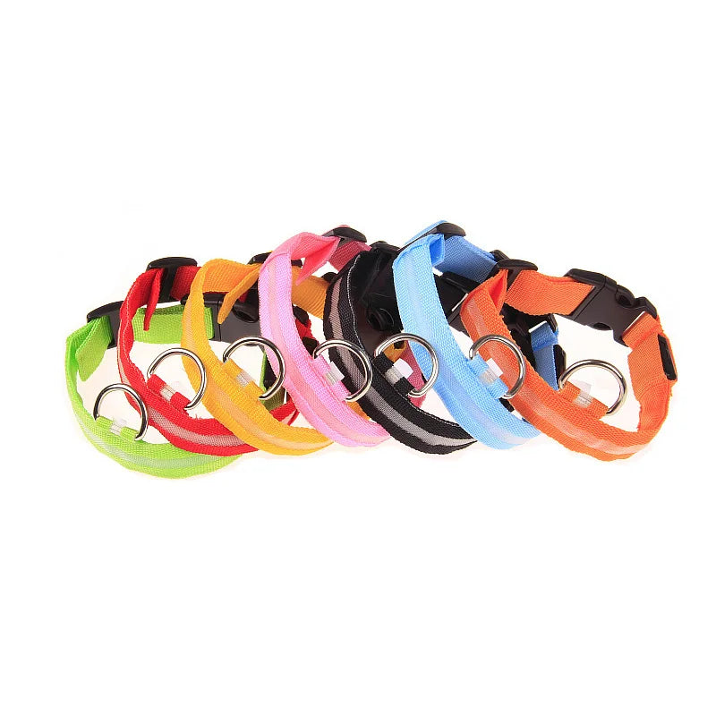 LED Glow-in-the-Dark Dog Leash & Collar – Nylon Safety Flashing Pet Leash