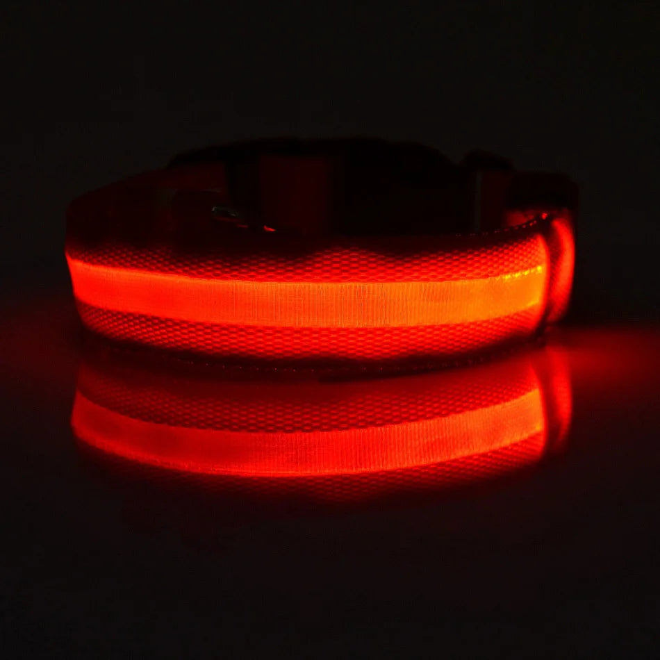 LED Glow-in-the-Dark Dog Leash & Collar – Nylon Safety Flashing Pet Leash