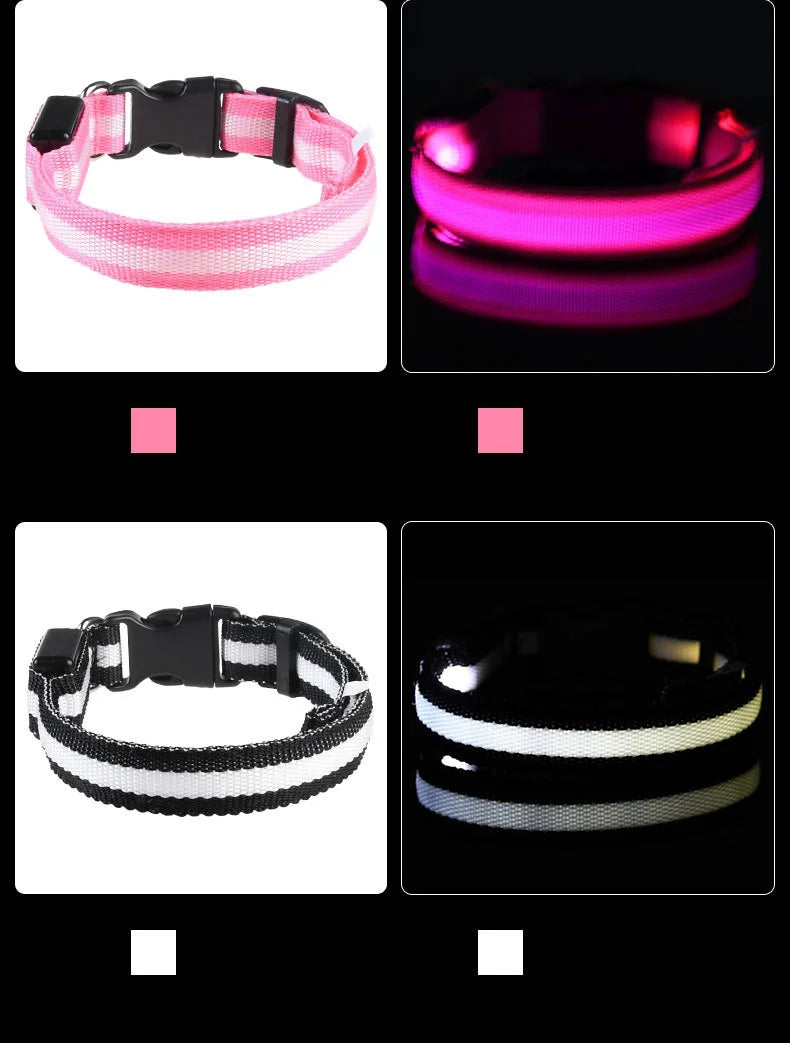 LED Glow-in-the-Dark Dog Leash & Collar – Nylon Safety Flashing Pet Leash