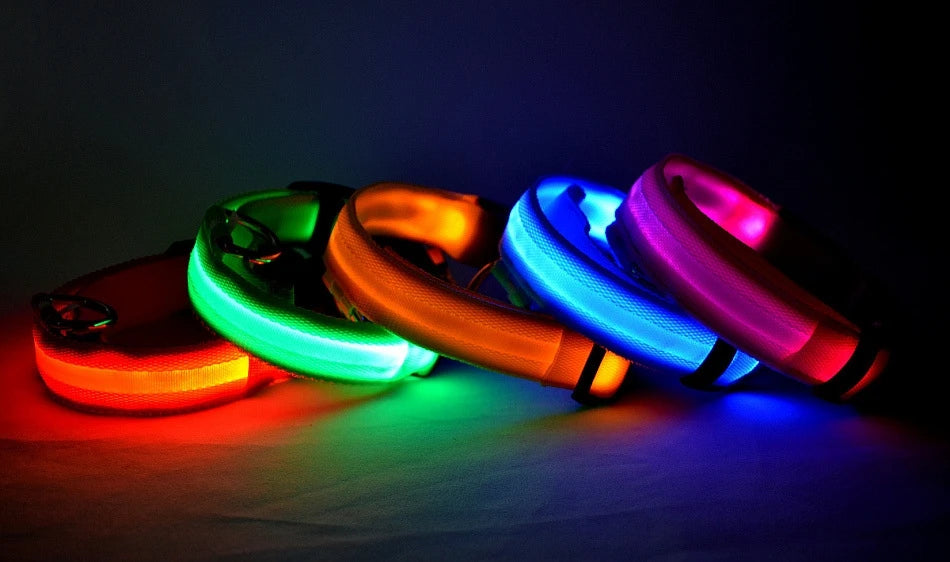 LED Glow-in-the-Dark Dog Leash & Collar – Nylon Safety Flashing Pet Leash