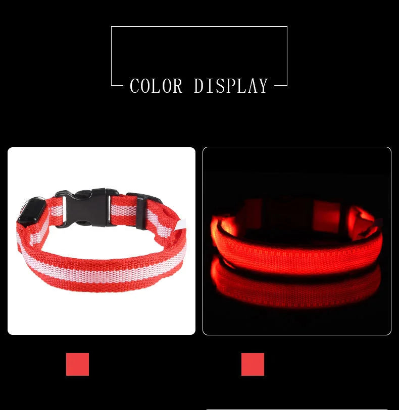 LED Glow-in-the-Dark Dog Leash & Collar – Nylon Safety Flashing Pet Leash